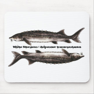 Stör-Mausunterlage - weißer Stör Mousepad