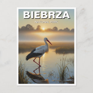 Storch in Biebrza Nationalpark Polen Reisen Postkarte