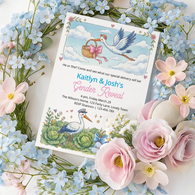 Storch-Kohl-Patch-Geschlechtsenthüllungsfeier Einladung (Stork Storybook themed Gender Reveal Invitation)