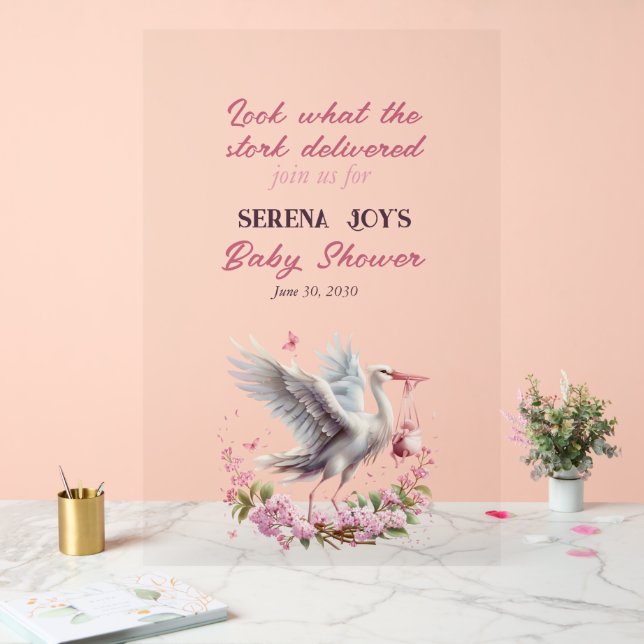 Storch liefert ein Baby Mädchen Acrylschild (Hochzeit)