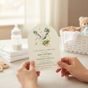 Storch mit Korb voller Rosenkohl Baby-Party-Bogen Einladung