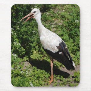 Storch Mousepad