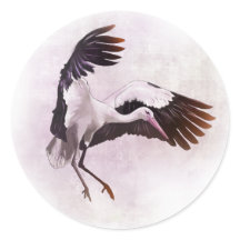 Storch