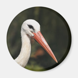 Storch - Symbol von Straßburg und von Elsass, Magnet