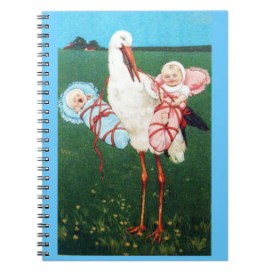 STORCH ZWILLINGS-BABYSHOWER, Rosa, Türkisblau Notizblock