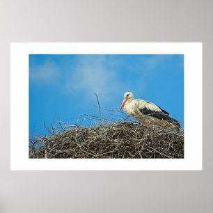 Storchennest Poster