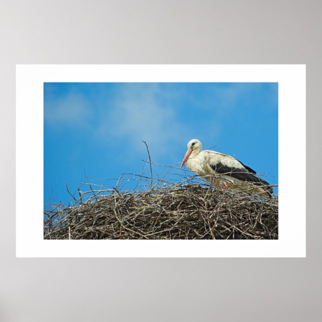 Storchennest Poster (Vorne)