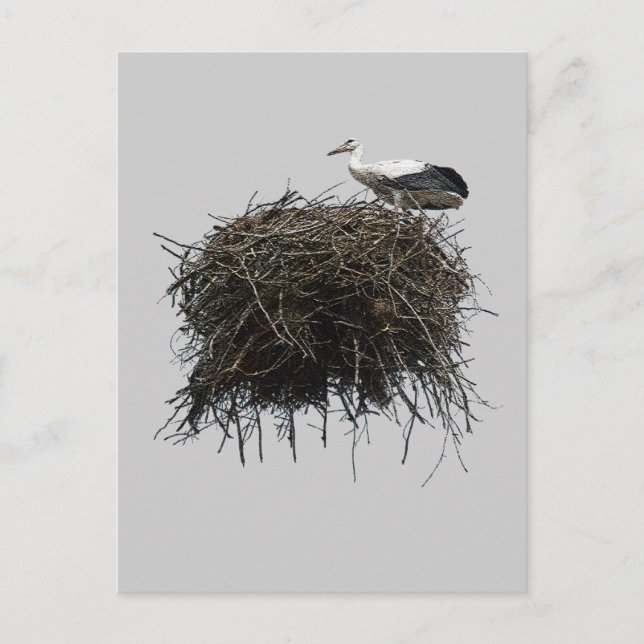 Storchennest Postkarte (Vorderseite)