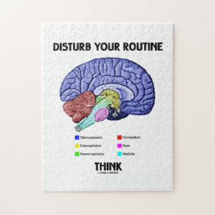 Stören Sie Ihr Programm denkt (Gehirn-Anatomie)