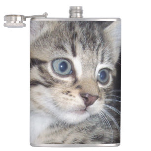 "Störenfried: Die Mischlinge Tabby Kitten Flachmann