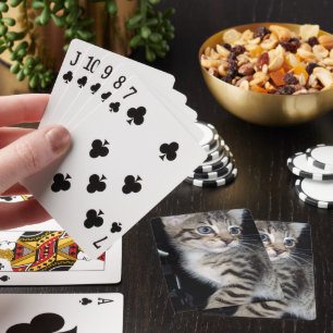 "Störenfried: Die Mischlinge Tabby Kitten Spielkarten