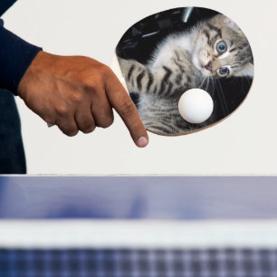 "Störenfried: Die Mischlinge Tabby Kitten Tischtennis Schläger
