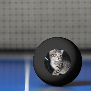 "Störenfried: Die Mischlinge Tabby Kitten Tischtennisball
