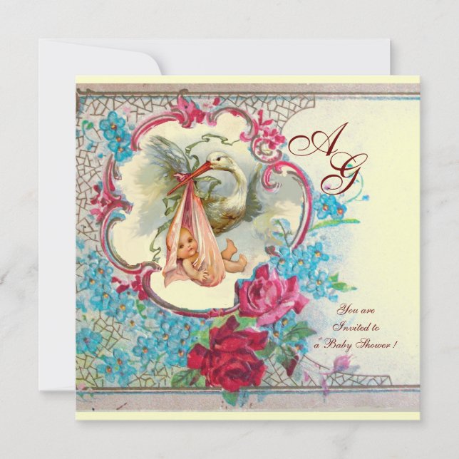 STORK BABY GIRL DUSCHPINK BLAUE FLORAL MONOGRAM EINLADUNG (Vorderseite)