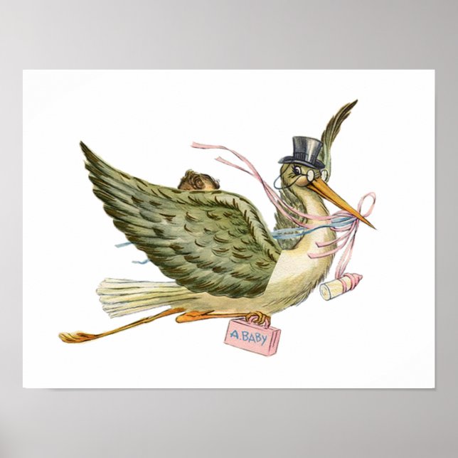 STORK BABY GIRL SHOWER POSTER (Vorne)