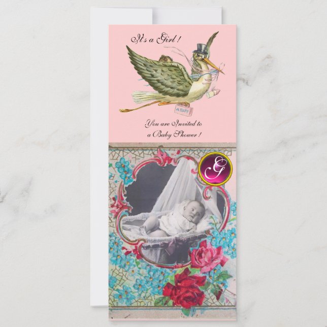 STORK BABY SHOWER MONOGRAM FOTOVORLAGE EINLADUNG (Vorderseite)