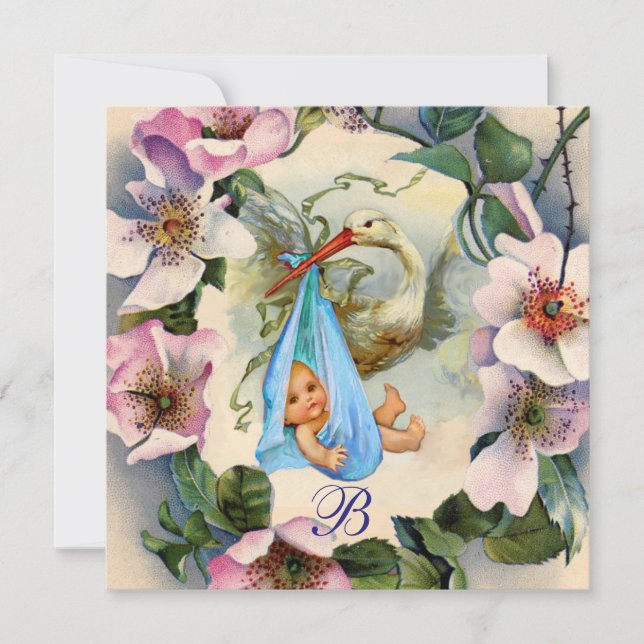 STORK BOY BABY SHOWER ,PINK WILD ROSE Vielen Dank Einladung (Vorderseite)