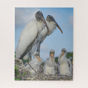 "Stork Family"