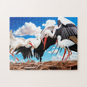 Stork Family, Jigsaw Puzzle