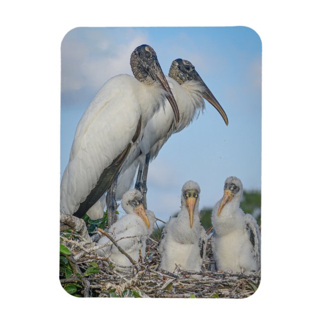 "Stork Family" Magnet (Vertikal)