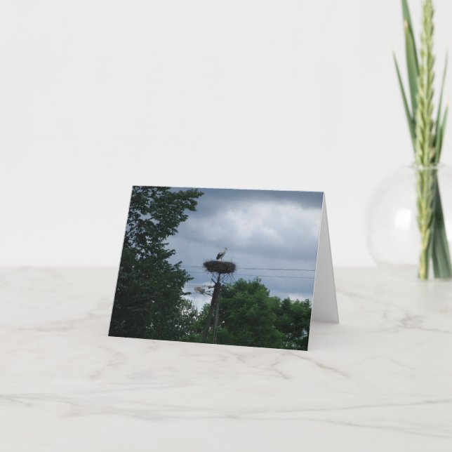Stork Foto Baby Pregnancy Announccard Karte (Vorderseite)