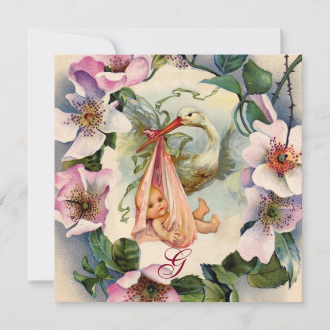 STORK GIRL BABY DUSCHE ,PINK WILD ROSE MONOGRAM EINLADUNG (Vorderseite)