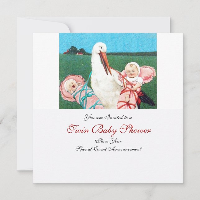 STORK TWIN BABY GIRL SHOWER EINLADUNG (Vorderseite)