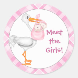 Stork & Twin Girls Baby Ankündigung Runder Aufkleber