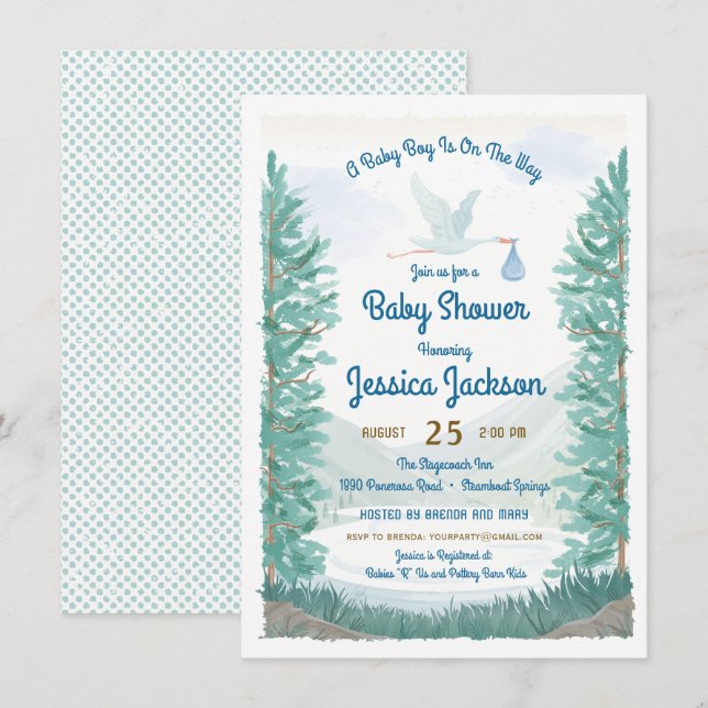 Stork's Journey Baby Boy Shower Einladung (Vorne/Hinten)