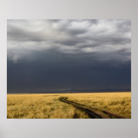 Storm clouds and road across gassy plains of the