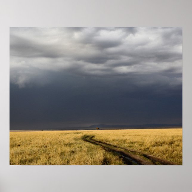 Storm clouds and road across gassy plains of the poster (Vorne)