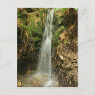 Storm-Runoff-Postkarte Postkarte
