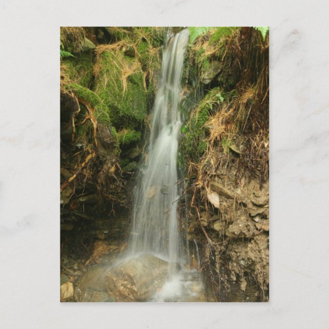 Storm-Runoff-Postkarte Postkarte (Vorderseite)