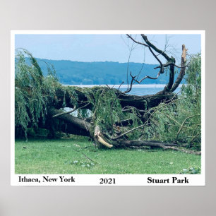 STORM STUART PARK 2021 POSTER