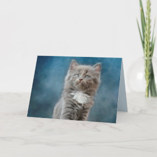 Stormkatze-Grußkarte Karte