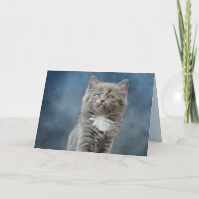 Stormkatze-Grußkarte Karte (Vorderseite)