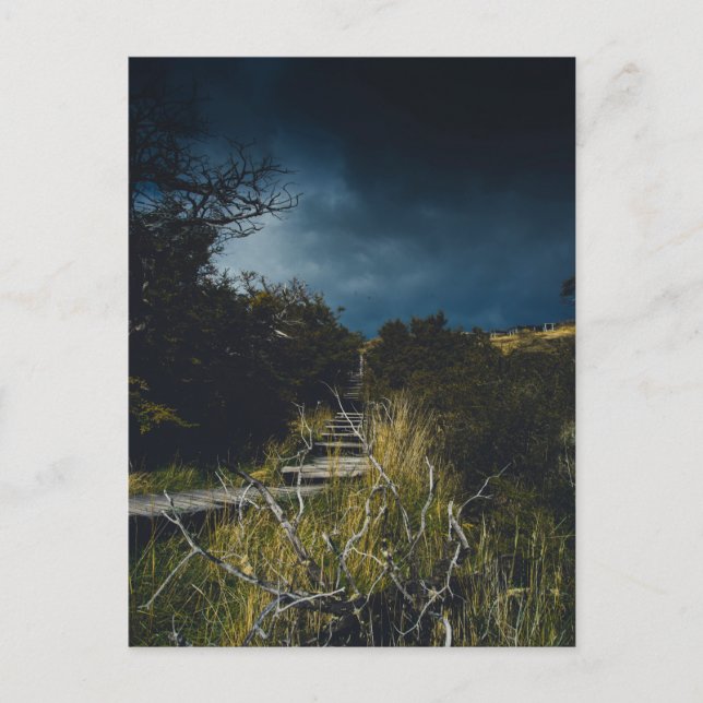 Stormy Sky Postkarte (Vorderseite)