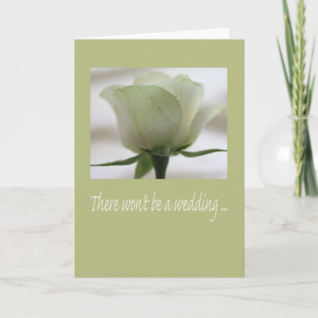 Stornierung einer Hochzeit Ankündigung (Vorderseite)