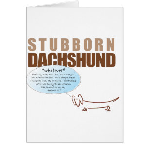 Störrische Dackel. .WHATEVER!
