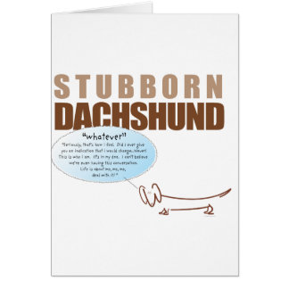 Störrische Dackel. .WHATEVER!