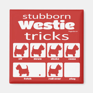Störrische Westie Tricks Magnet