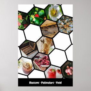 Story Collage Erdbeeren, Bestäuber und Erträge Poster
