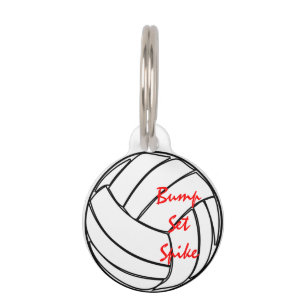 Stoß-Set-Spitzen-Volleyball Haustiermarke