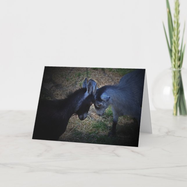 Stoßende Kopf-Karte Karte (Vorderseite)