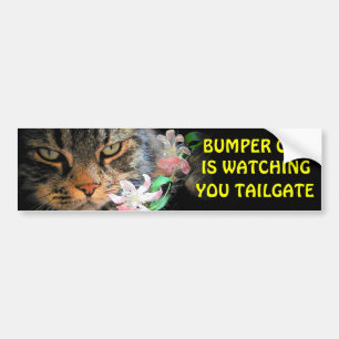 Stoßkatze passt Sie Meme HECKKLAPPE 3 auf Autoaufkleber