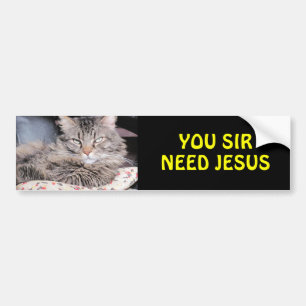Stoßkatze sagt, Sie Sir Need Jesus Autoaufkleber