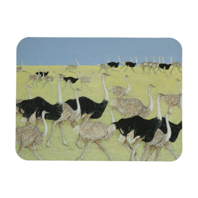 Stoßzeit Magnet (Horizontal)