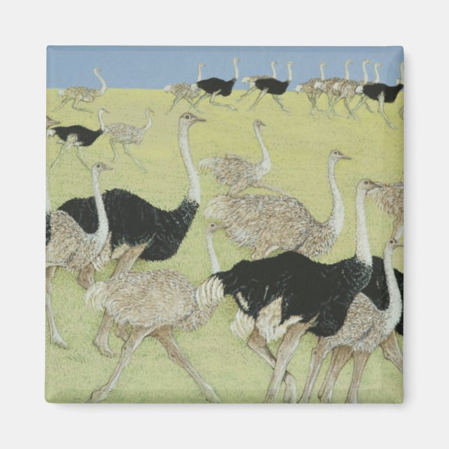 Stoßzeit Magnet (Vorne)