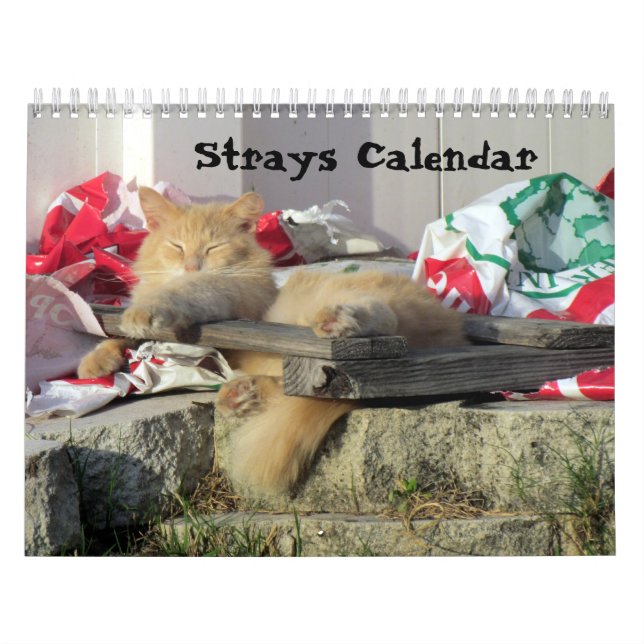 Strahl-Kalender Kalender (Titelbild)