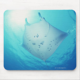 Strahl Mousepad